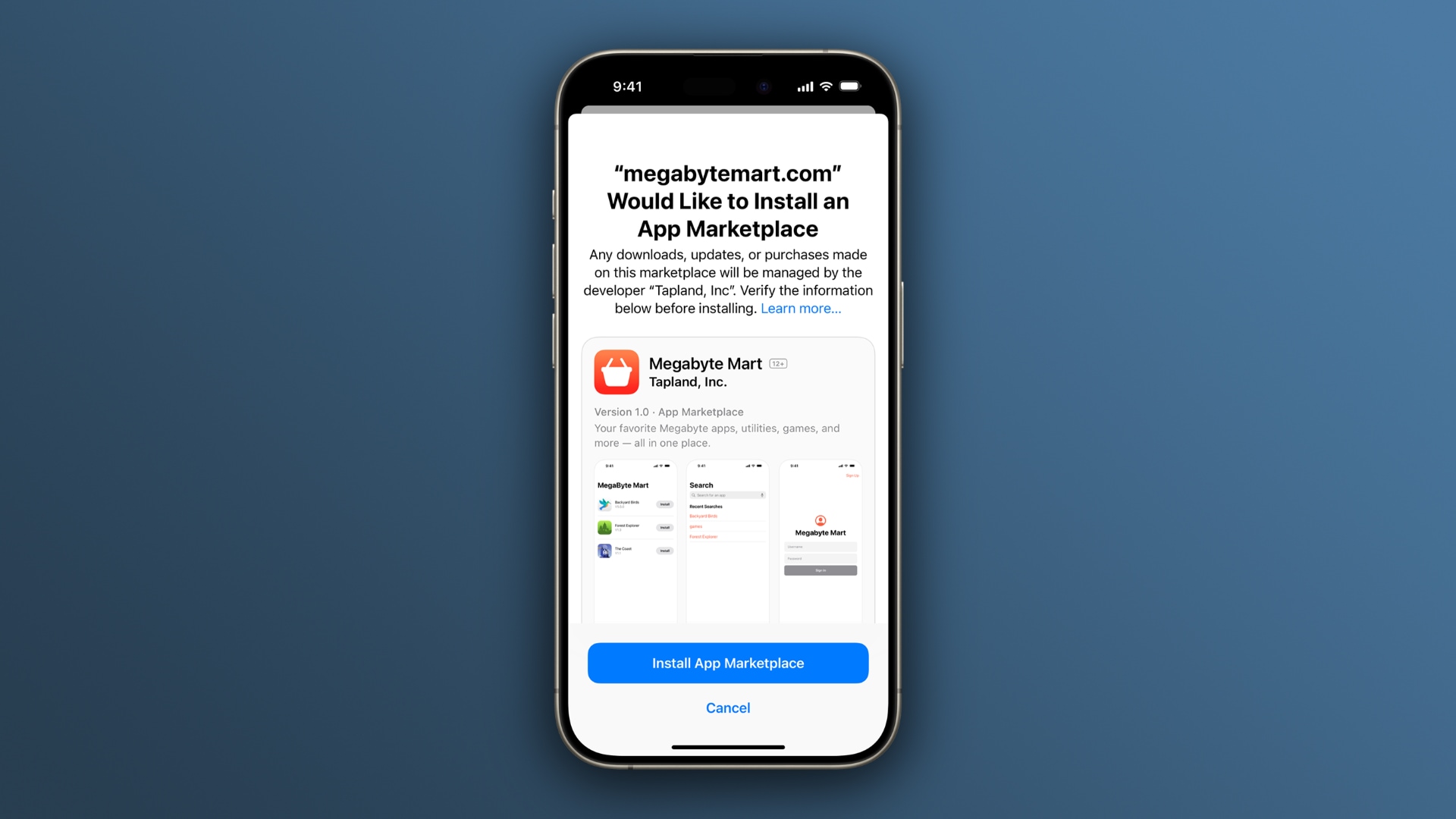 Example of an installation prompt for an alternative marketplace on iPhone